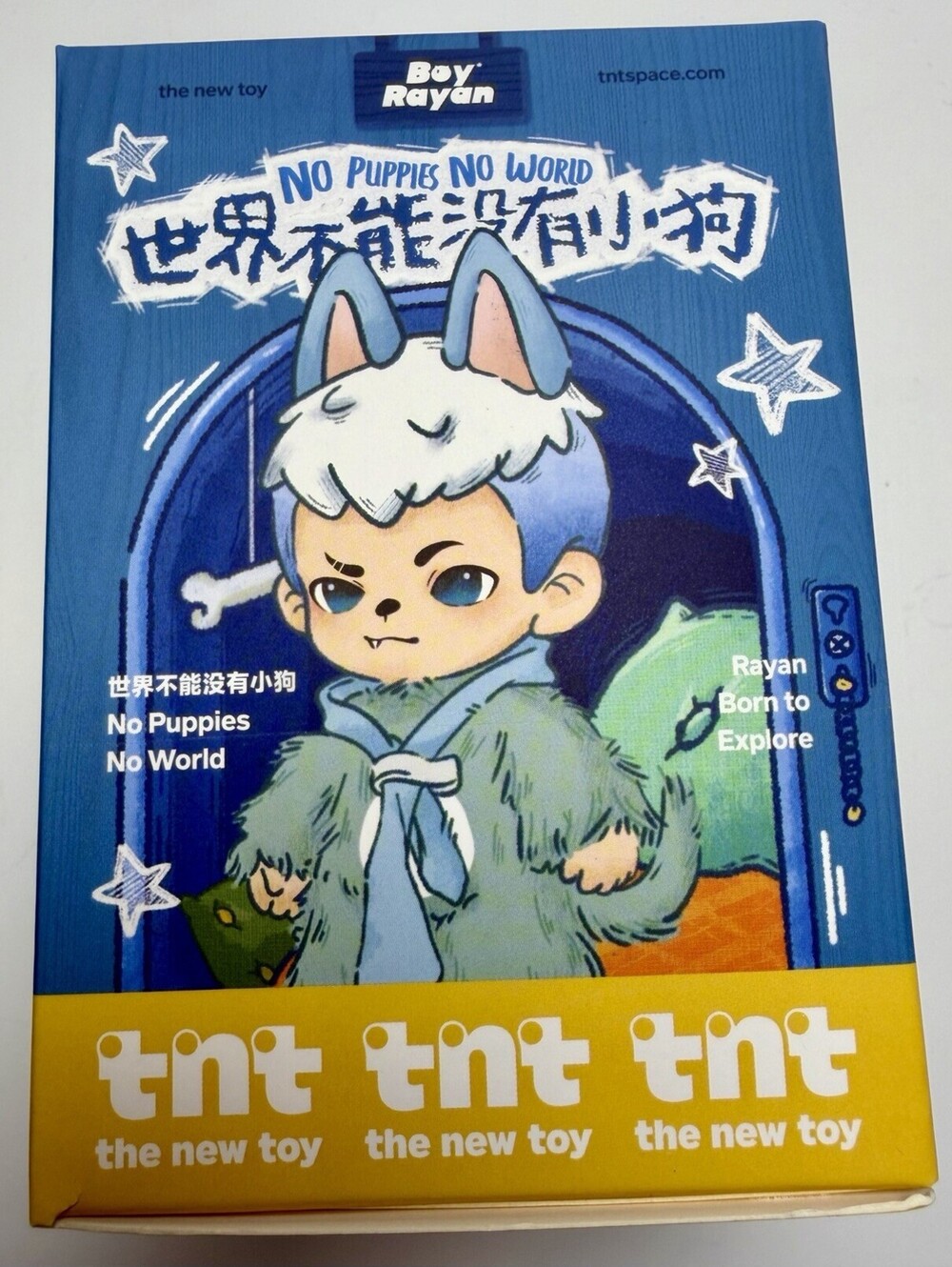 TNT Space Boy Rayan No Puppies No World Blind Box Figure New Sealed